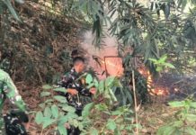 Api Mengamuk di Lahan Bambu Pekurun Tengah, Babinsa dan Tim Gabungan Bergerak Cepat Jinakkan Kobaran