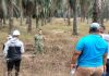 Dampingi Survei Calon Lokasi Rindam XXI, Serma Supriyadi Kawal Verifikasi Lahan di Lampung Utara
