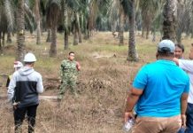 Dampingi Survei Calon Lokasi Rindam XXI, Serma Supriyadi Kawal Verifikasi Lahan di Lampung Utara