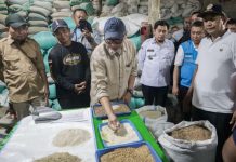 Penjualan Kendaraan Niaga Naik, Trend Positif Penguatan Distribusi Hasil Pertanian Lampung