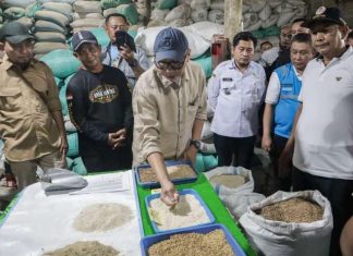 Penjualan Kendaraan Niaga Naik, Trend Positif Penguatan Distribusi Hasil Pertanian Lampung