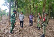 Babinsa Gencarkan Patroli, Warga Diingatkan Stop Bakar Lahan Cegah Karhutla