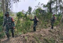 Sisir Titik Rawan Karhutla, Koramil Abung Timur Bergerak Cegah Kebakaran Sebelum Meluas