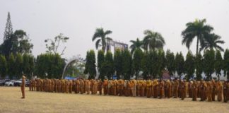 Pemprov Lampung Perkuat Investasi, Dorong Pertumbuhan Ekonomi Daerah