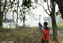 Dua Titik Karhutla di Tulang Bawang dan Lamteng Terkendali, BPBD Sampaikan Pesan Gubernur: Tingkatkan Kewaspadaan Karhutl