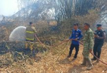 Babinsa dan Damkar Bergerak Cepat, Kebakaran Lahan Bambu di Kotabumi Berhasil Dipadamkan