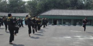 Asah Disiplin dan Naluri Tempur, Kodim 0412/LU Genjot Kemampuan Pencak Silat Militer Prajurit
