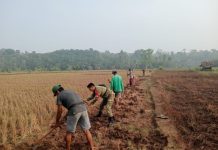 Babinsa dan Warga Kompak Bangun Jalan Desa Neglasari, Gotong Royong Perkuat Akses Masyarakat